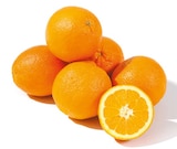 Orangen im aktuellen Netto mit dem Scottie Prospekt