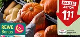 Hokkaido Kürbis im Angebot bei REWE in Bad Kreuznach Hokkaido Kürbis Angebote von REWE Regional bei REWE Bad Kreuznach für 1,11 €