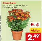 Chrysantheme im Angebot bei Netto Marken-Discount in Kerpen Chrysantheme Angebote bei Netto Marken-Discount Kerpen für 2,49 €