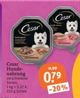 Hundenahrung von Cesar im aktuellen tegut Prospekt für 0,79 €