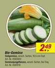 Südgemüse Angebote bei toom Baumarkt Falkensee für 2,49 €