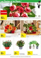 Cactus Angebote im Prospekt "LE MOIS MONOPOLY" von Carrefour auf Seite 34