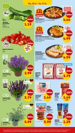 Erdbeeren im Penny Prospekt in Stralsund Aktueller Penny Prospekt mit Erdbeeren, "Wer günstig will, muss Penny.", Seite 30