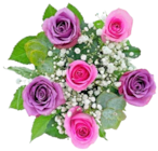 Kaufland Westerhausen - Rosen-Eukalyptusstrauß Angebot im Prospekt Rosen-Eukalyptusstrauß bei Kaufland im Westerhausen Prospekt für 7,99 €