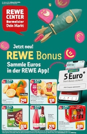 Aktueller REWE Supermarkt Prospekt in Buxtehude und Umgebung, "Dein Markt" mit 34 Seiten, 30.12.2024 - 04.01.2025