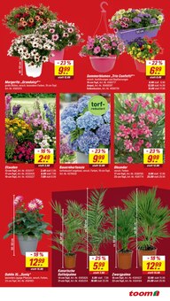 Blumentopf im aktuellen toom Baumarkt Prospekt (Mönchengladbach) Blumentopf im toom Baumarkt Prospekt "Respekt, wer's selber macht." mit 14 Seiten (Mönchengladbach)