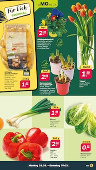 Kartoffeln im Netto mit dem Scottie Prospekt "Günstig. Besser. Für Dich." mit 38 Seiten (Chemnitz)