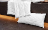 Aktuelle Kopfkissen Angebote bei Möbel Wallach in Hildesheim Aktuelles KOPFKISSEN oder SOMMERBETT Angebot bei Möbel Wallach in Hildesheim ab 24,95 €
