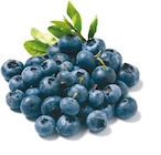 Heidelbeeren für 3,19 € bei Netto mit dem Scottie im Angebot Heidelbeeren im aktuellen Netto mit dem Scottie Prospekt