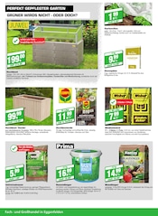 Aktueller EGGER Fachmarkt Prospekt mit Rasendünger, "März-Highlights", Seite 8