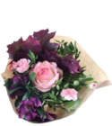 Rosen im Angebot bei EDEKA in Hamburg Rosen Angebote bei EDEKA Hamburg für 2,99 €