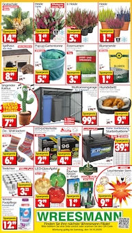 Blumenerde im aktuellen Wreesmann Prospekt (Bremerhaven) Blumenerde im Wreesmann Prospekt "DEIN SAISON- & SONDERPOSTENMARKT!" mit 12 Seiten (Bremerhaven)