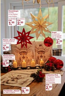 Pflanzen im aktuellen Garten-Center Nordharz GmbH & Co. KG Prospekt (Braunschweig) Pflanzen im Garten-Center Nordharz GmbH & Co. KG Prospekt "FRÖHLICHE ADVENTSZEIT" mit 16 Seiten (Braunschweig)