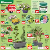 Aktueller Thomas Philipps Prospekt mit Dünger, "Top Angebote", Seite 2