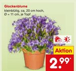Glockenblume Angebote bei Netto Marken-Discount Siegburg für 2,99 €