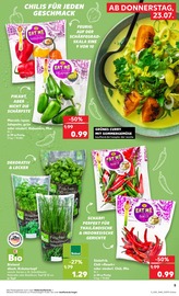 Pflanzen im Kaufland Prospekt in Ahaus Aktueller Kaufland Prospekt mit Pflanzen, "Hier bin ich richtig", Seite 14
