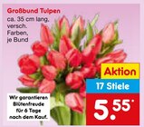 Aktuelles Großbund Tulpen Angebot bei Netto Marken-Discount in Frankfurt (Main) ab 5,55 €