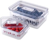 Elektronik im REWE Prospekt Beerenbox von VIVESS im aktuellen REWE Prospekt für 6,99 €