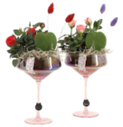 Arrangement aus Pflanzen im Glas im Angebot bei OBI in Lippstadt Arrangement aus Pflanzen im Glas Angebote bei OBI Lippstadt für 14,99 €