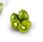 Kiwibeeren im Angebot bei Penny-Markt in Wiesbaden Kiwibeeren Angebote von NERGI bei Penny-Markt Wiesbaden für 1,69 €