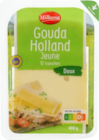 Gouda holland IGP jeune - MILBONA en promo chez Lidl Strasbourg à 2,42 €