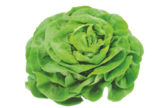 Retrouvez chaque semaine notre sélection fraîcheur à Aldi dans Sainte-Foy-lès-Lyon Retrouvez chaque semaine notre sélection fraîcheur à Aldi dans Sainte-Foy-lès-Lyon