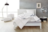 3-Kammer-Kopfkissen ca. 40 x 80 cm im Angebot bei Lidl in Bünde 3-Kammer-Kopfkissen ca. 40 x 80 cm Angebote von Balette bei Lidl Bünde für 24,99 €