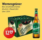 Getränke Hoffmann Panketal - Wernesgrüner Angebot im Prospekt Wernesgrüner bei Getränke Hoffmann im Panketal Prospekt für 12,99 €