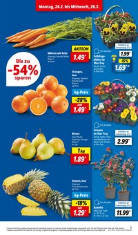 Ananas im Lidl Prospekt "LIDL LOHNT SICH" mit 61 Seiten (Dresden)