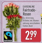 Fairtrade-Rosen von Gardenline im aktuellen ALDI Nord Prospekt für 2,99 €
