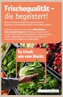 REWE Bei den Tongruben - Angebot im Prospekt bei REWE im Bei den Tongruben Prospekt für
