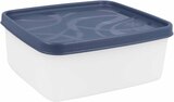 Gefrierdose Farbspiel Angebot in Lahr Gefrierdose Farbspiel im aktuellen Prospekt bei E center in Lahr