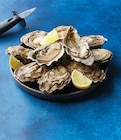 Huître Fine de Bretagne - Prat Ar Coum en promo chez Super U Montbéliard à 17,99 €