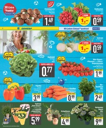 Rose im EDEKA Prospekt Rose im EDEKA Prospekt Wir lieben Lebensmittel. auf S. 6