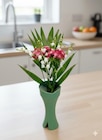 Muguet 5 brins et 2 œillets de poète dans un grand vase - CARREFOUR en promo chez Carrefour Dijon à 5,99 €