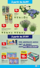 Fleurs Angebote im Prospekt "LES ARRIVAGES D'ÉTÉ" von Aldi auf Seite 25