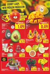 E center Orangen im Prospekt E center Orangen im Prospekt