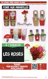 Promos Fleurs dans le catalogue "Il était une fois les fêtes et leurs très bons plans !" de Casino Supermarchés à la page 17 Promos Fleurs dans le catalogue "Il était une fois les fêtes et leurs très bons plans !" de Casino Supermarchés à la page 17