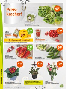 Tomaten im tegut Prospekt "tegut… gute Lebensmittel" mit 23 Seiten (Nürnberg)