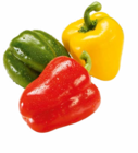Paprika im Netto Marken-Discount Prospekt Paprika-Mix im aktuellen Netto Marken-Discount Prospekt für 1,29 €