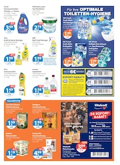 Aktueller V-Markt Prospekt mit Hundefutter, "V-Markt einfach besser einkaufen", Seite 13