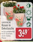 Rosen in Dekotasche von Gardenline im aktuellen ALDI Nord Prospekt für 3,49 €