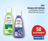 Shampoo oder Spülung Angebote von Guhl bei Marktkauf Altenburg