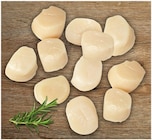 Aktuelles Kammuschelfleisch Angebot bei REWE in Dortmund ab 4,59 €