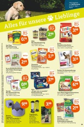 Dörrfleisch Angebot & Preis im aktuellen tegut Prospekt Dörrfleisch Angebot im aktuellen tegut Prospekt auf Seite 19