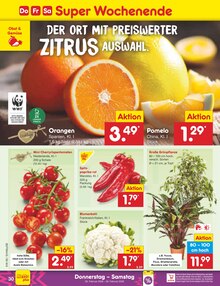 Tomaten im Netto Marken-Discount Prospekt "Aktuelle Angebote" mit 59 Seiten (München)