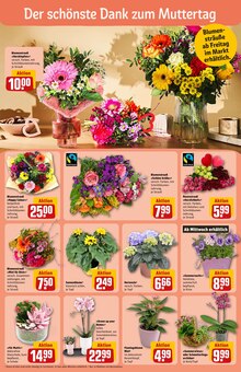 Blumen im REWE Prospekt "Dein Markt" mit 34 Seiten (Nürnberg)