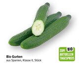 Aktuelle Gemüse Angebote bei EDEKA in Saarbrücken Aktuelles Bio Gurken Angebot bei EDEKA in Saarbrücken