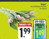 Tulpen Angebote bei EDEKA Coburg für 1,49 €