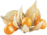 Physalis bei REWE im Emden Prospekt für 1,11 €